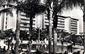 Alger - Jardin du Gouvernement General